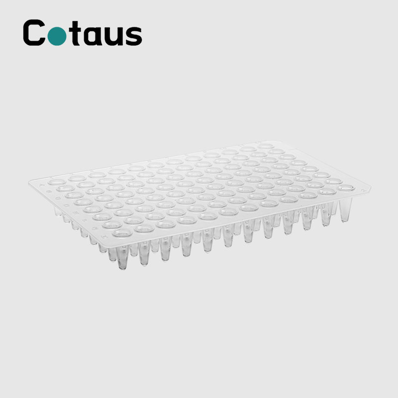 96 Well 0.1ml แผ่นใสไม่มีกระโปรง PCR