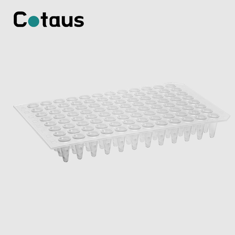 96 Well 0.2ml แผ่นใสไม่มีกระโปรง PCR